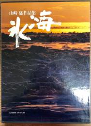 氷海 : 山崎猛作品集