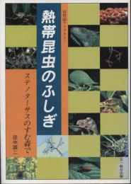 熱帯昆虫のふしぎ : ステノターサスのすむ森で