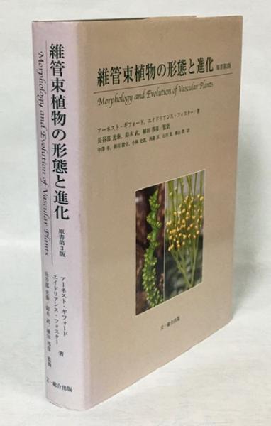 秀逸 維管束植物の形態と進化 原書第3版