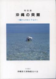 沖縄の貝類 : 特別展 図録