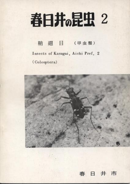 鞘翅類
