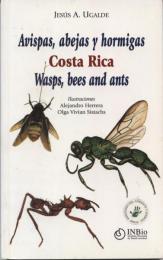 Avispas, Abejas y Hormigas Costa Rica Wasps, Bees and Ants