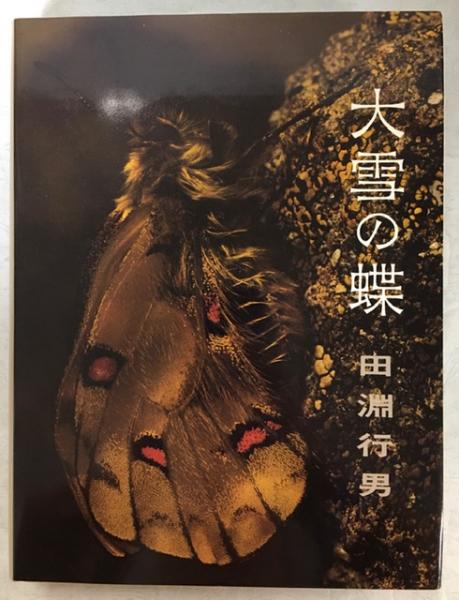 アウトレットの通販激安 田淵行男 大雪の蝶 写真集 1978年 初版