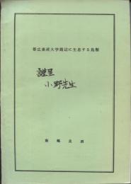 帯広畜産大学周辺に生息する鳥類