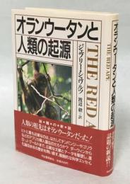 オランウータンと人類の起源