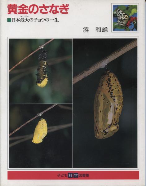 動物昆虫(昆野安彦, 丹治茂雄 著) / 南陽堂書店 / 古本、中古本