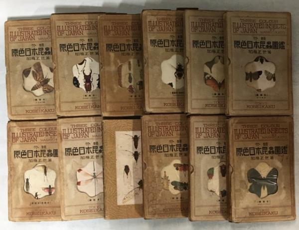 分類原色日本昆虫図鑑 全12 巻揃(加藤正世) / 古本、中古本、古