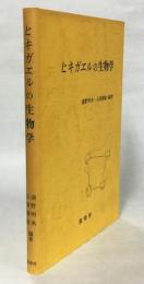 ヒキガエルの生物学(浦野明央, 石原勝敏 編著) / 古本、中古本、古書籍