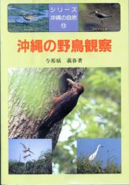 沖縄の野鳥観察