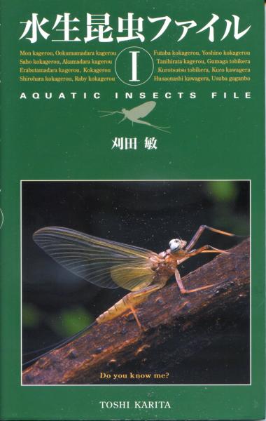 水生昆虫ファイル 水生昆虫ファイル (3) | 刈田 敏 |本 | 通販 | Amazon