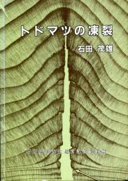 トドマツの凍裂