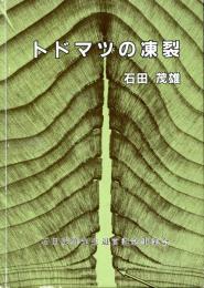 トドマツの凍裂