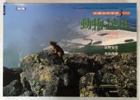 動物昆虫