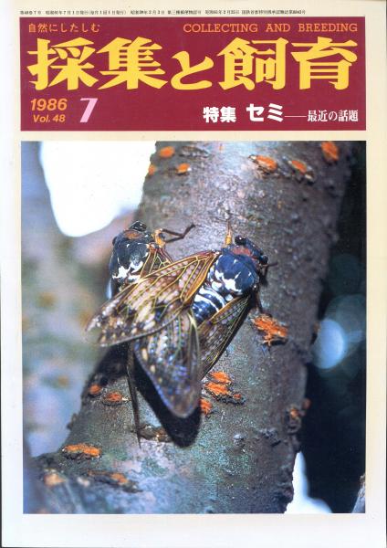 採集と飼育48巻7号 特集 セミ 最近の話題 古本 中古本 古書籍の通販は 日本の古本屋 日本の古本屋 採集と飼育48巻7号 特集 セミ 最近の話題 古本 中古本 古書籍の通販は 日本の古本屋 日本の古本屋