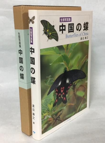 生態写真集 中国の蝶 : Butterflies of China 渡辺康之 - library 