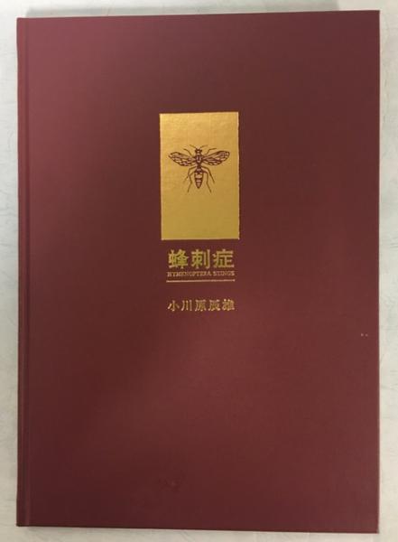 宮沢賢治研究叢書 １/学芸書林