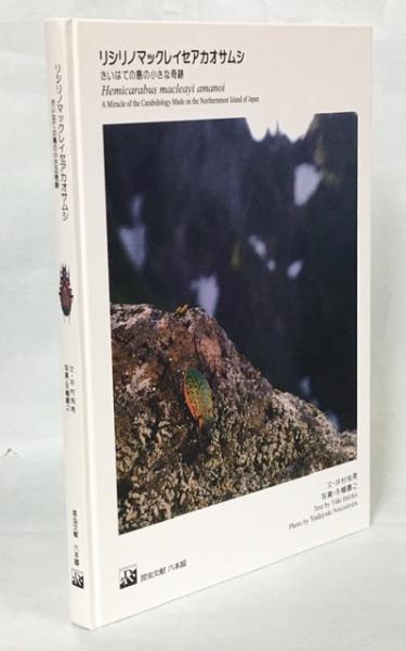 Amazon.co.jp: リシリノマックレイセアカオサムシ―さいはての島