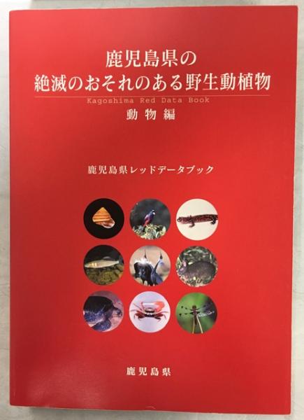 鹿児島県の絶滅のおそれのある野生動植物 鹿児島県レッドデータブック 鹿児島県環境生活部環境保護課 企画 編集 古本 中古本 古書籍の通販は 日本の古本屋 日本の古本屋 鹿児島県の絶滅のおそれのある野生動植物 鹿児島県レッドデータブック 鹿児島県環境生活部環境保護課 企画 編集 古本 中古本 古書籍の通販は 日本の古本屋 日本の古本屋