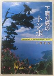 下蒲刈島のトンボ