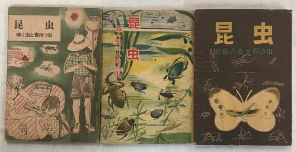 高評価の贈り物 昆虫 巻揃(①鳴く虫と春待つ虫／②田畠の虫と野の虫／③森 3 全 学習よみもの