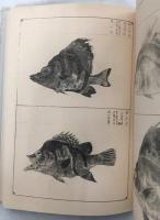 麑海魚譜