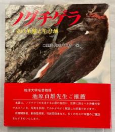 ノグチゲラ : 国指定特別天然記念物 : その生態と生息地