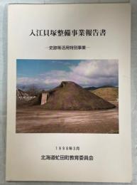 入江貝塚整備事業報告書 : 史跡等活用特別事業