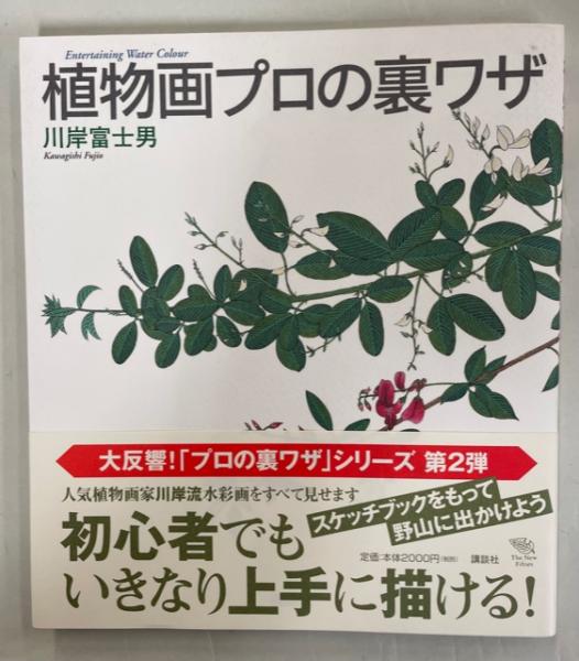 川岸富士男 植物画 竹似草 額装 水彩画 ボタニカルアート