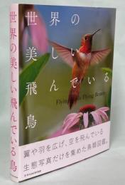 世界の美しい飛んでいる鳥 = Flying Birds Flying Beauty