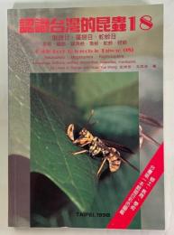 認識台湾的昆虫18　Neuroptera・Megaloptera・Raphidioptera