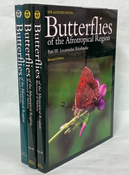 最終価格‼️Butterflies of Afrotropical アフリカ蝶 20211119193238288158_197871888