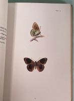 Varieties of British Butterflies : a selection of  rare and interesting specimens of aberrations, including gynandromorphic and homœotic forms ; albinism and melanism