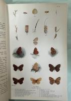Natural history of British Butterflies : a complete, original, descriptive account of the life-history of every species occurring in the British Islands, together with their habits, time of appearance, and localities. And illustrated