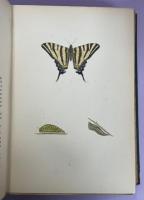 A History of British Butterflies