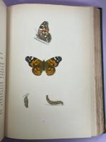 A History of British Butterflies