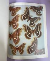 Moths of America North of Mexico : Fascicle 20.2A・B Bombycoidea：Saturniidae