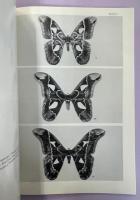 Les Attacidae Americains / The Attacidae of America (= Saturniidae) Vol.1 Attacinae