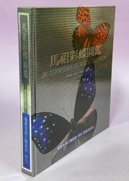 馬祖彩蝶図鑑