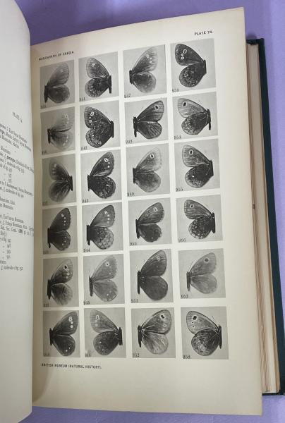 Monograph of the genus Erebia(by B.C.S. Warren) / 南陽堂書店