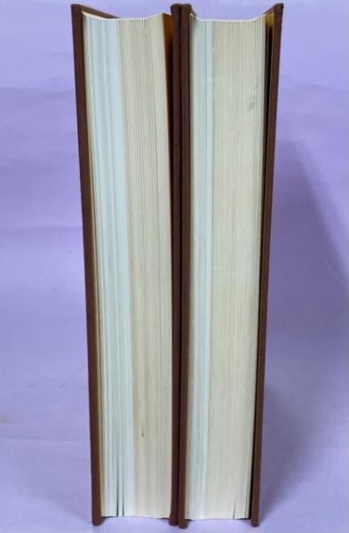 東南アジア島嶼の蝶 第5巻 タテハチョウ編(下) 東南アジア島嶼の蝶〈第