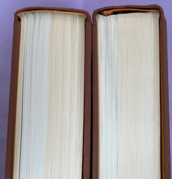 東南アジア島嶼の蝶 第5巻 タテハチョウ編(下) 圖鑑 東南アジア島嶼の蝶(5)タテハチョウ編 下 | 塚田悅造 | 南陽堂