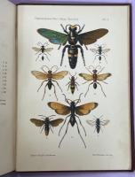 The Fauna of British India, Including Ceylon and Burma ： Hymenoptera Vol.Ⅰ(Wasps and Bees)、Ⅱ(Ants and Cuckoo-Wasps)