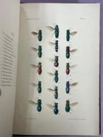 The Fauna of British India, Including Ceylon and Burma ： Hymenoptera Vol.Ⅰ(Wasps and Bees)、Ⅱ(Ants and Cuckoo-Wasps)