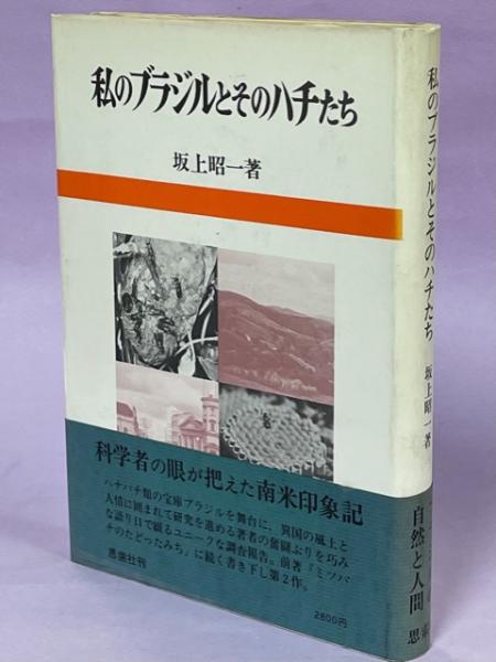 絵因果経の研究 (美の光景 2) | 坪井 みどり |本 | 通販 | Amazon