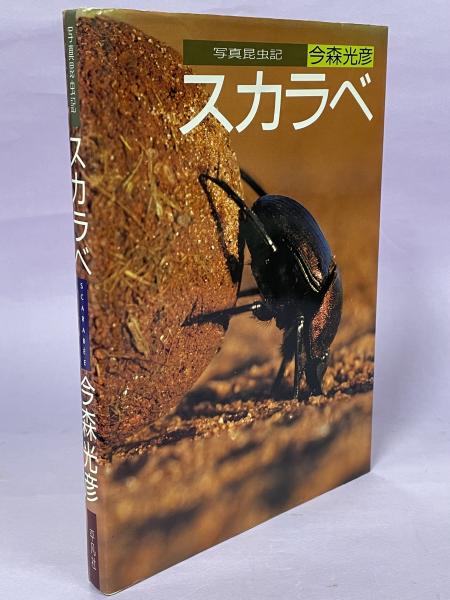 スカラベ―写真昆虫記 スカラベ : 写真昆虫記(今森光彦 著) / 南陽堂書店 / 古本、中古