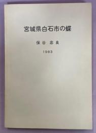 宮城県白石市の蝶