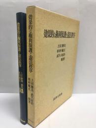 効果的な権利保護と憲法秩序