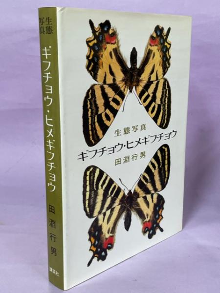 ギフチョウ・ヒメギフチョウ―生態写真 (1974年)