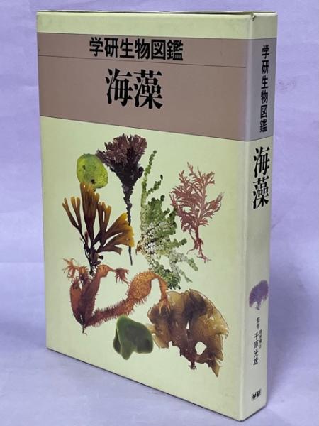海藻 千原光雄 南陽堂書店 古本 中古本 古書籍の通販は 日本の古本屋 日本の古本屋