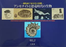 －銅版画で辿る化石図鑑－アンモナイトと恐竜時代の生物